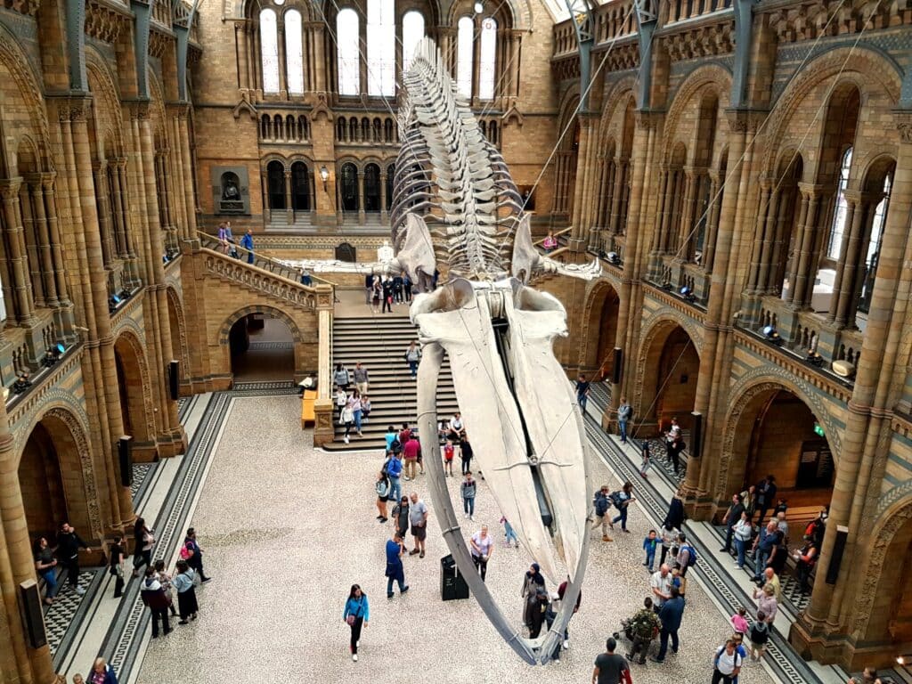 Tips For Visiting Natural History Museum London