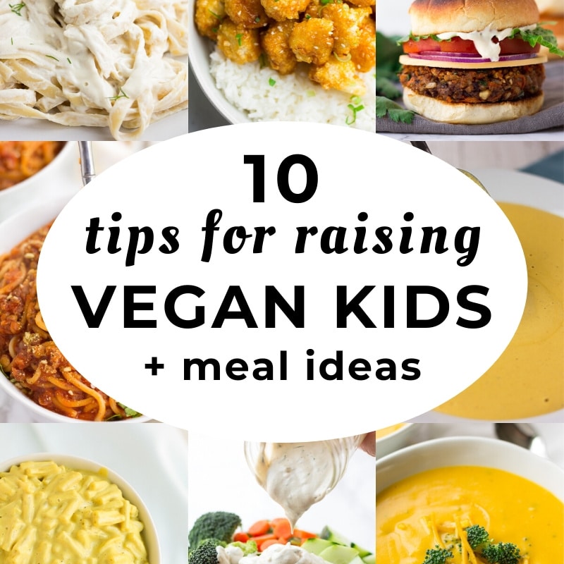 Vegan Recipes for Kids : 10 of the best!